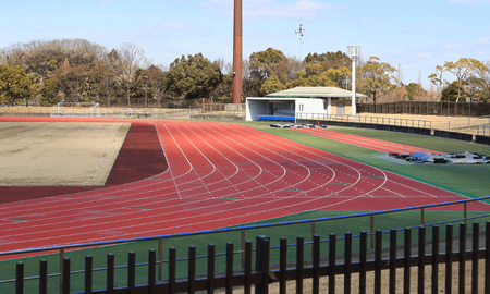 Schools in Alamo Heights